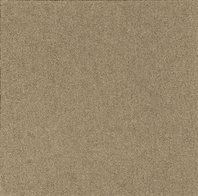 Lentil (Ripple)