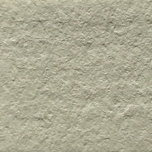 Palomino (Over-sized)