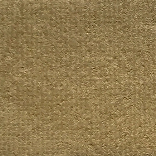 Terra